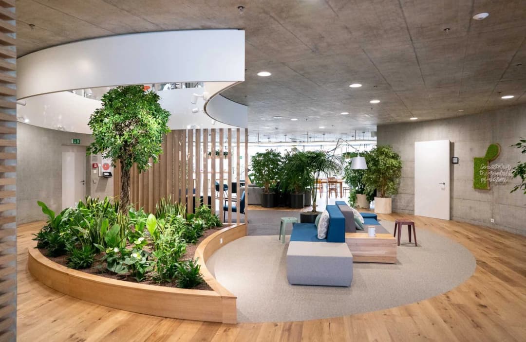 Wellness Zones