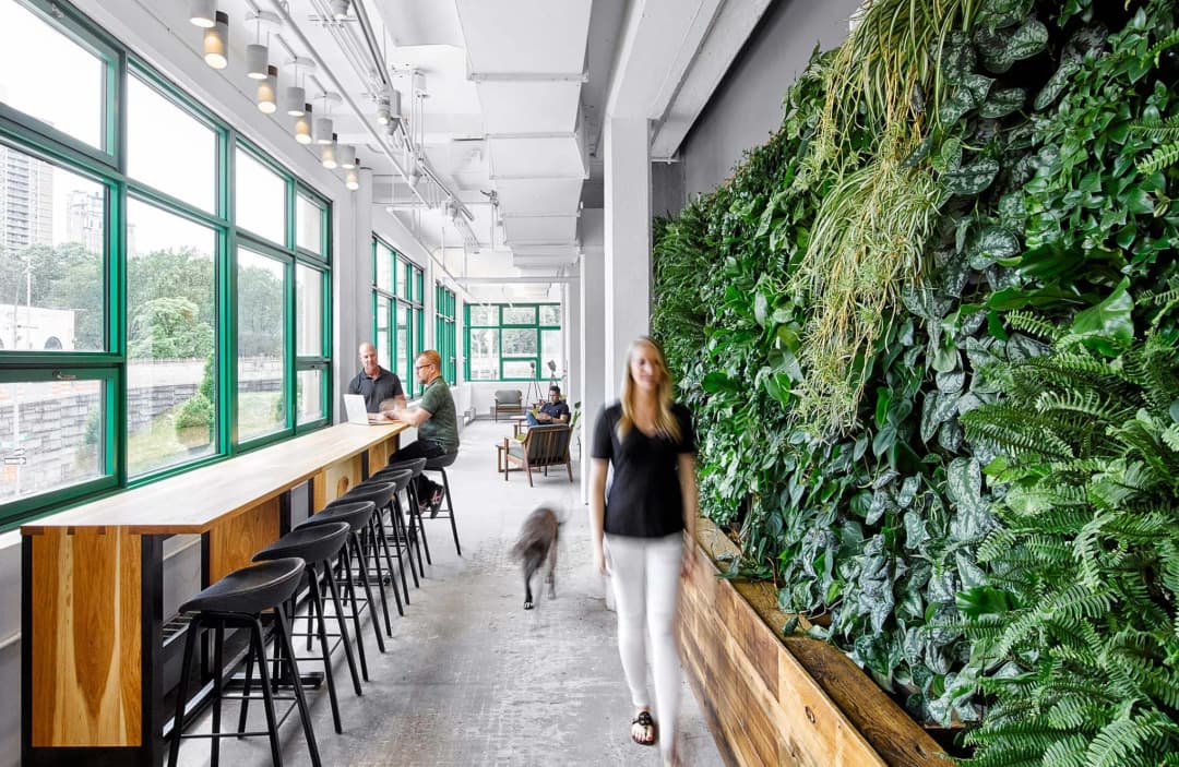 Sustainable Design Practices