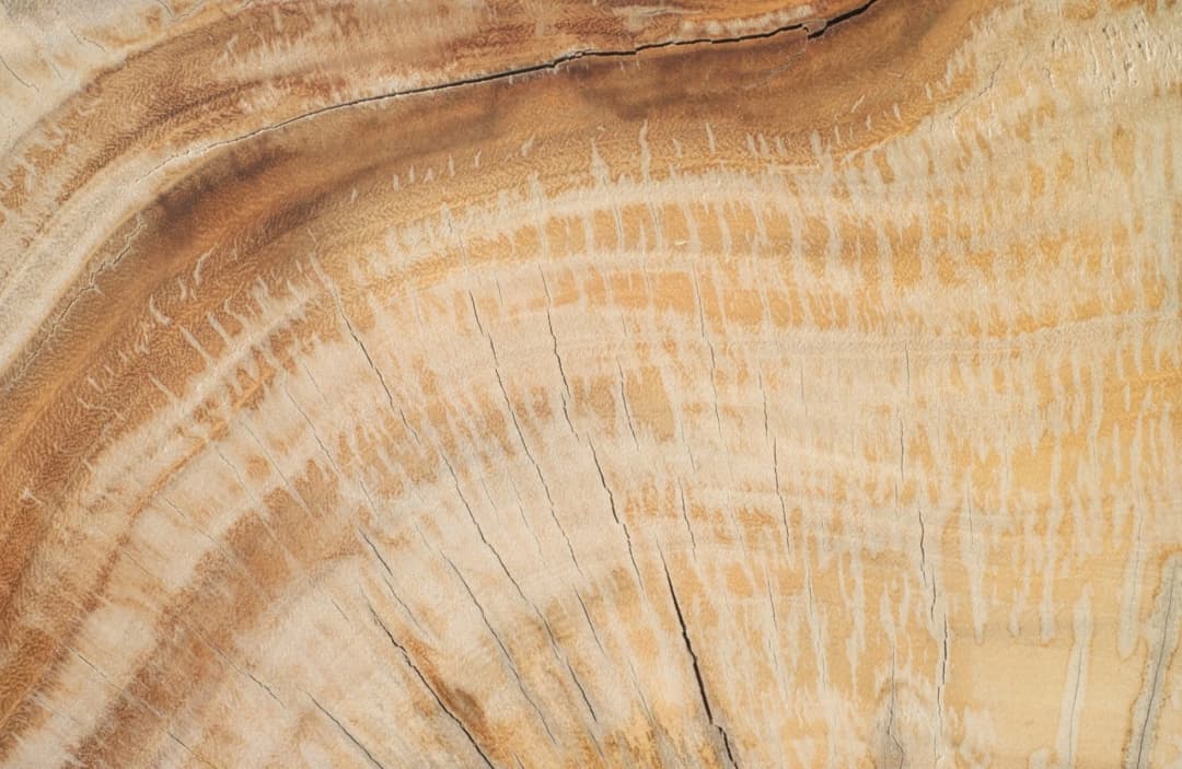 pine wood
