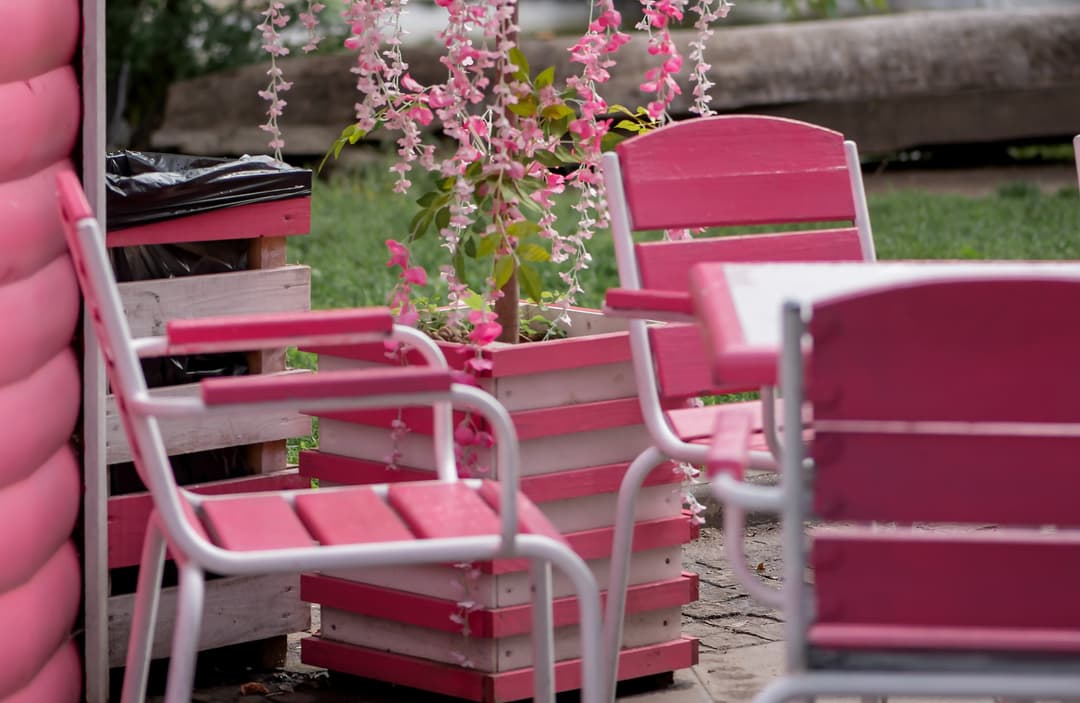 Pink chair in pink spring