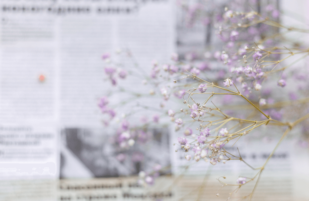 newsletter in spring