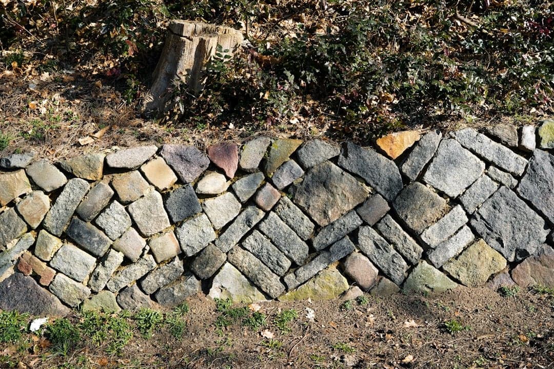 Can You Use Stone Wall Panels Outdoors?