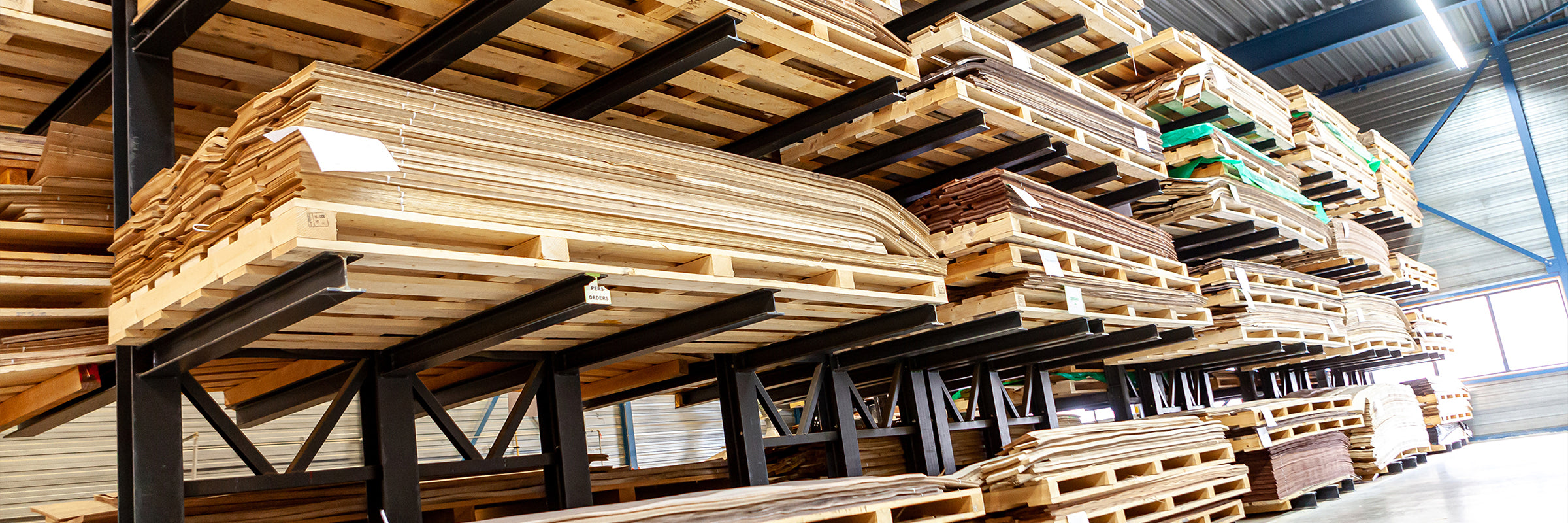 Environment | The Panel Hub®